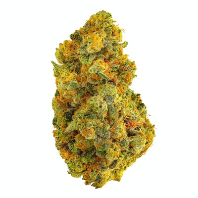 Girl Scout Cookie