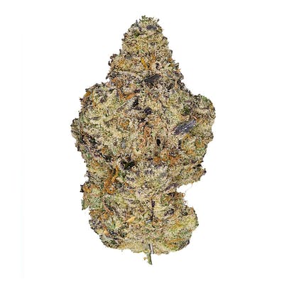 Buy Jack Herer