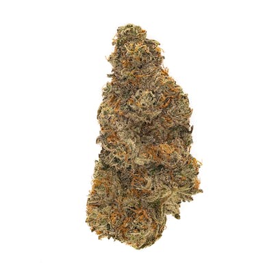 White Widow