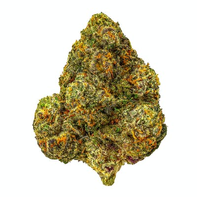 Biscotti Cannabis Strain - Sweet Hybrid Cannabis Strain