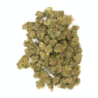 Fatso Premium Cannabis | 34% THC | Heavy-Hitting Hybrid