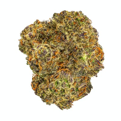 Z'Lato cannabis strain - Sweet Hybrid Cannabis Strain