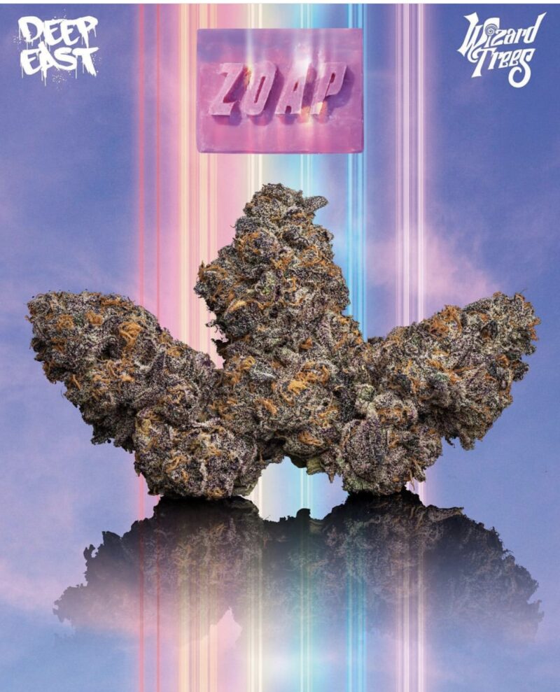 Buy Zoap Strain Online | Wizard Trees | Deofarms