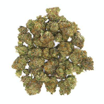 Maple Barz