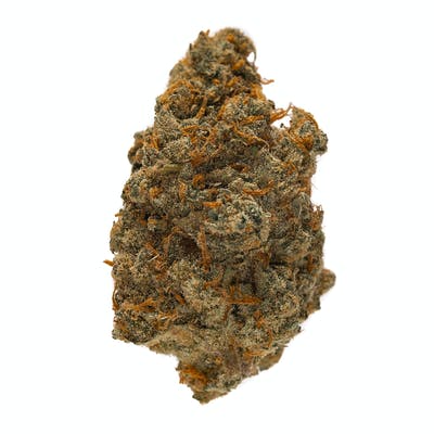 Cat Piss Cannabis Strain - Bold Cannabis Strain