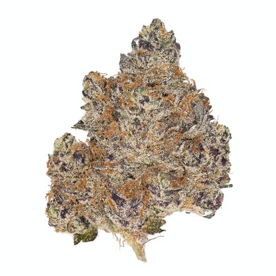 Buy Infinity Kush