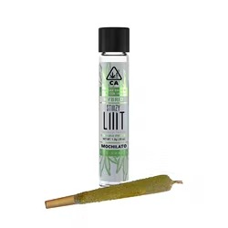 STIIIZY Live Resin Pre-Rolls | 40% THC | Premium Cannabis
